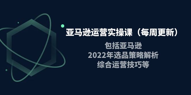 [跨境电商] 亚马逊运营实操课，包括亚马逊2022选品策略解析，综合运营技巧等-资源屋