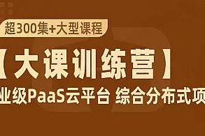 大课训练营 PaaS云平台+SpringCloudAlibaba+JDK11综合项目实战-资源屋