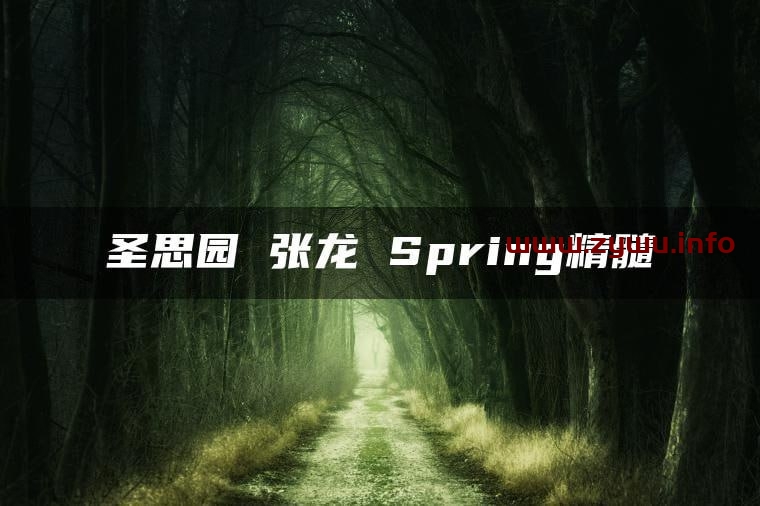 圣思园—张龙-Spring精髓-资源屋