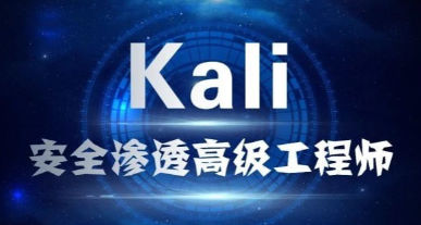 学神IT—Kali渗透高级工程师+Web白帽子工程师-资源屋