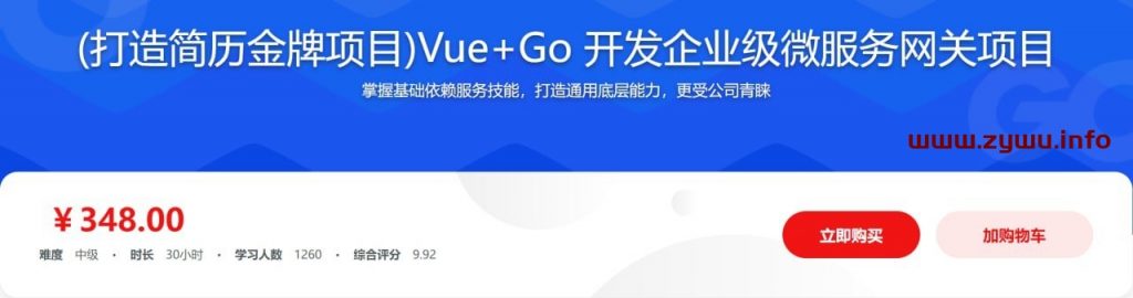 Vue+Go 开发企业级微服务网关项目-资源屋